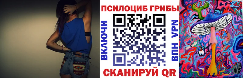 Галлюциногенные грибы Cubensis  купить наркотики цена  Николаевск 