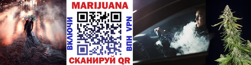 Бошки Шишки план  это состав  Николаевск 